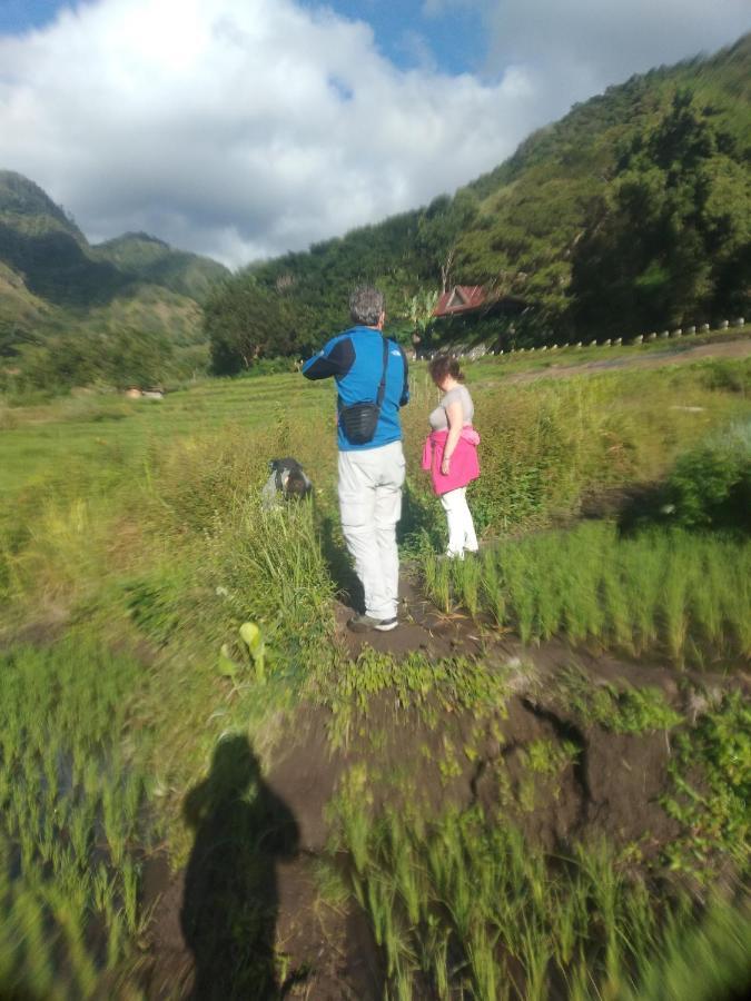 Hidayah Homestay 克里穆图 外观 照片