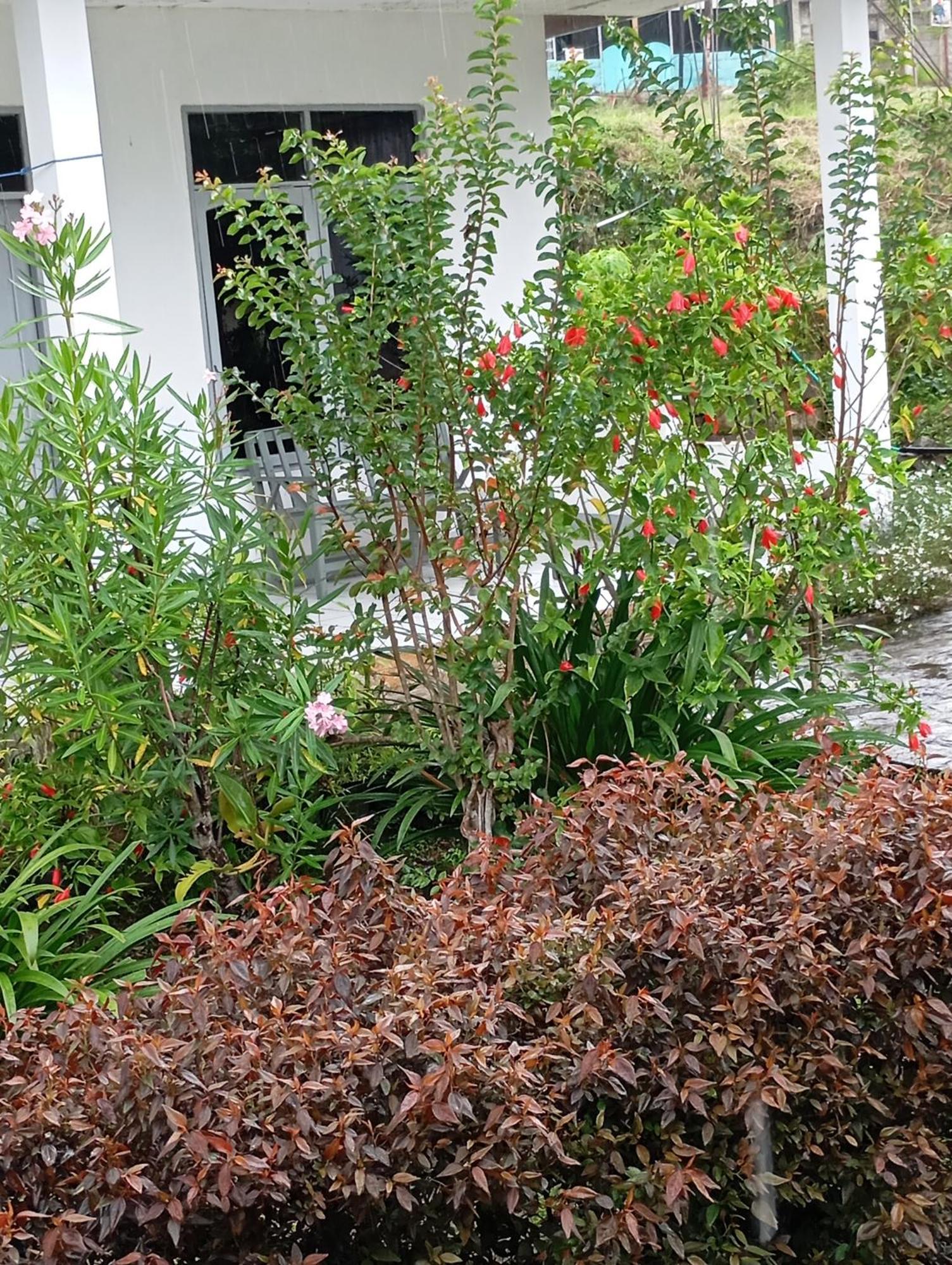 Hidayah Homestay 克里穆图 外观 照片